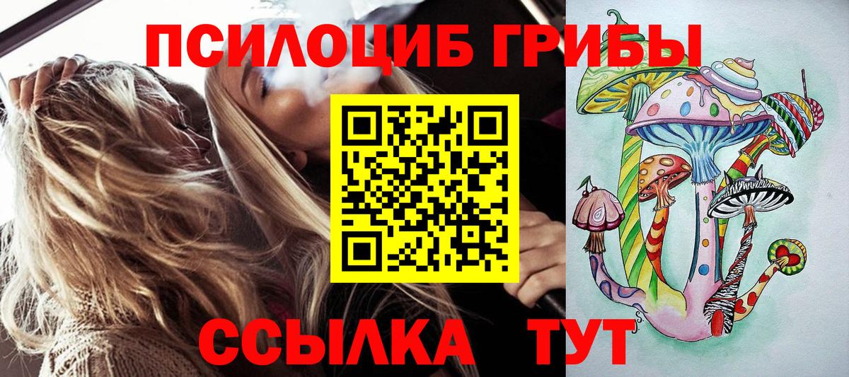 Галлюциногенные грибы Cubensis Сызрань