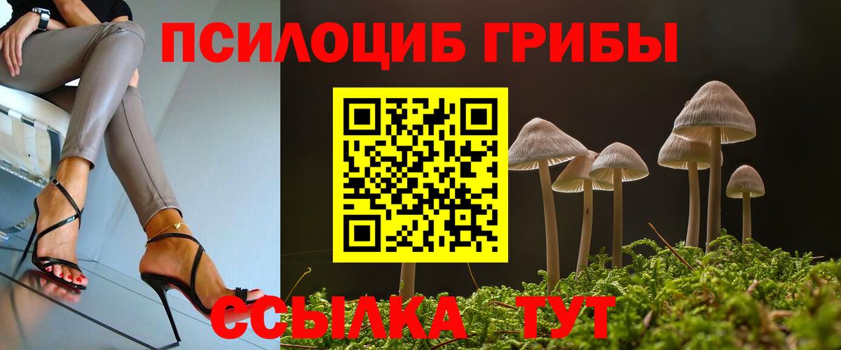 Сызрань  купить  сайты  Галлюциногенные грибы Cubensis  Вход с VPN  Галлюциногенные грибы Psilocybine cubensis 